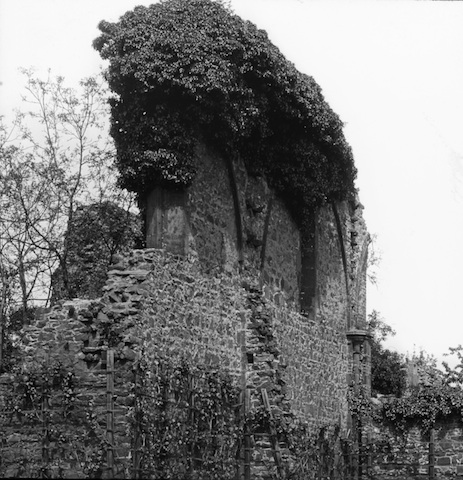R12b013 Klosterruine zum heiligen Kreuz2 