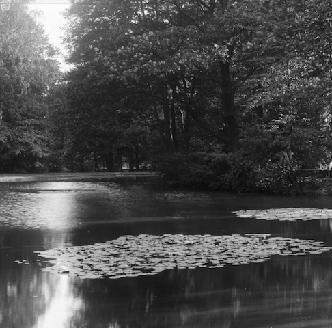 R12C011 Pillnitz Schloßteich 