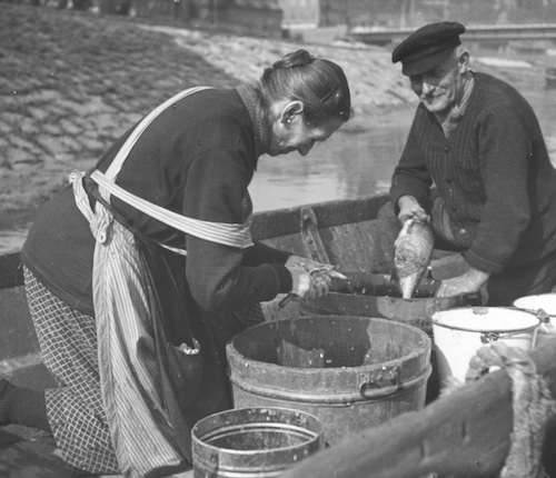 29 Ausnehmen d. Fische 