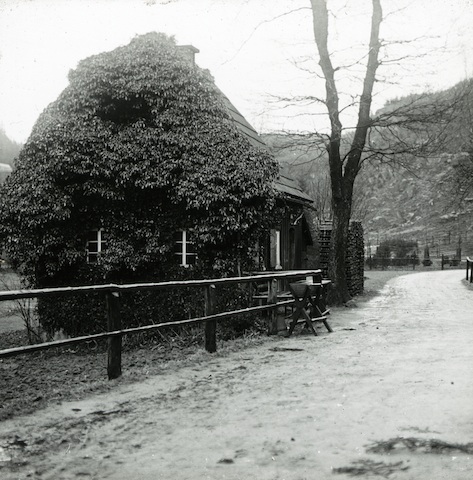 R30035 Haus mit Efeu am Zeughaus 