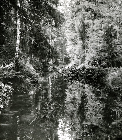 R30041 Hinterhermsdorf, Obere Schleuße 