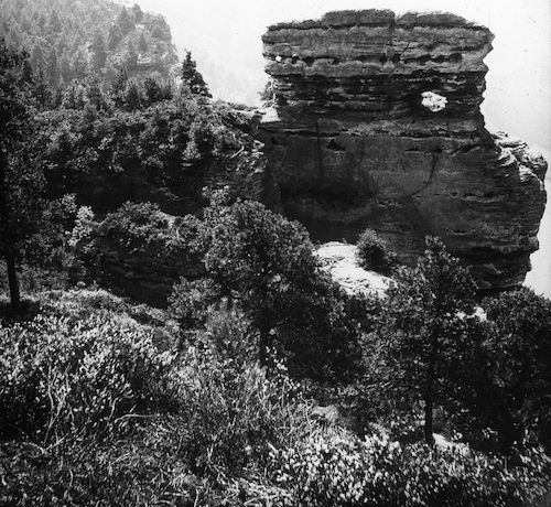 R30076 Polenztal Kletterfelsen 