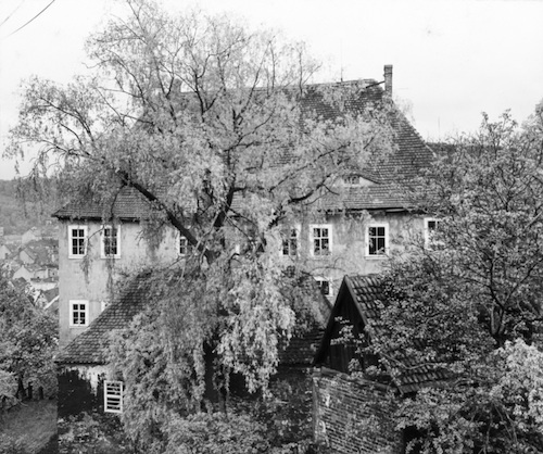 AR244052 Superintendentur 