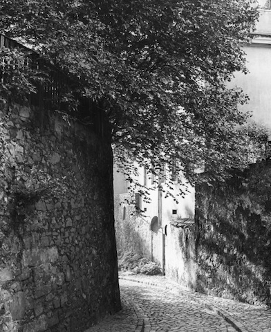 AR244058 Im kl. Holweg am Profesorenhaus 