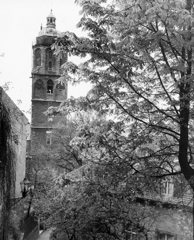 AR244019 Frauenkirche vom Seelensteig 