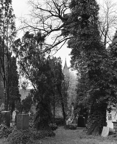 AR244023 St Wolfgangsfriedhof zum Dom2 