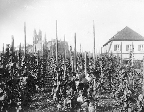 R128001 Ratsweinberg 