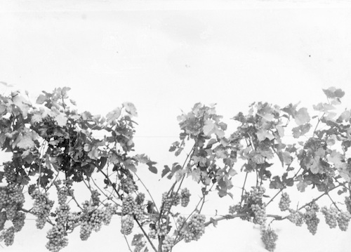 R128010 Drahterziehung 