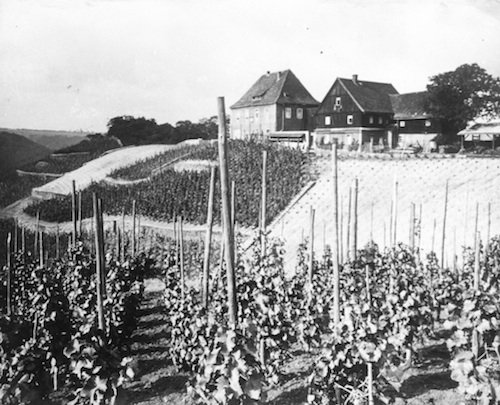 R128018 Weinberg an Posel 