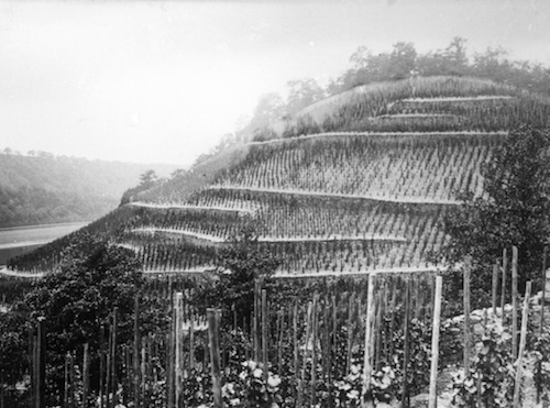 R128006 Hagens Weinberg 