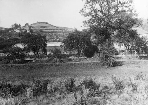 R128008 Kuppe in Hagens Weinberg 