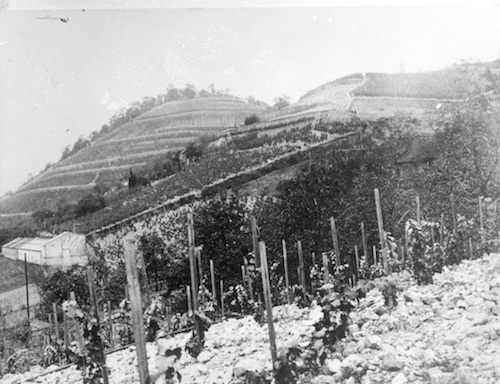 R128009 Rote und Graue Presse und 