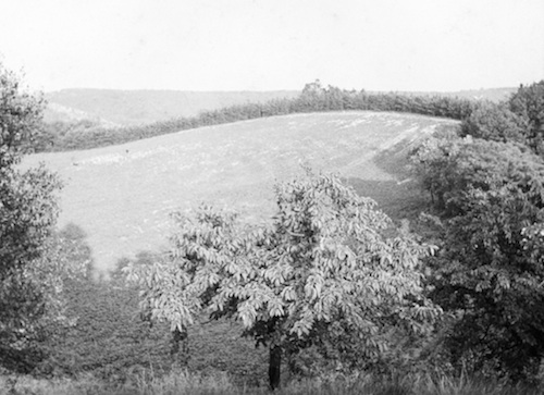 Meißen R131003 Göhrisch Schanzboden 