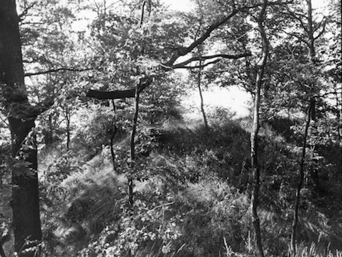 Meißen R131022 Seußlitz Goldkuppe 