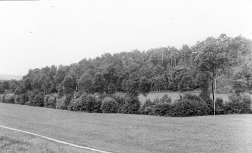 Meißen R131024 Ziegenhain Zunge 