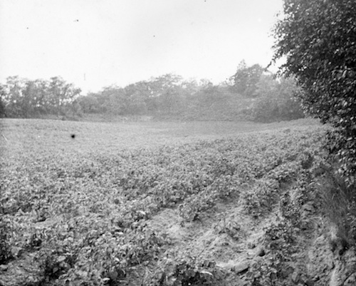 Meißen R131004 Göhrisch Abschnitswall 