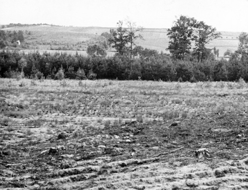 Meißen R131034 Löbsal Blick v. Burgberg 