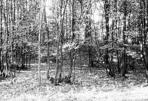Meißen R131008 Groitzsch Abschnittswall 