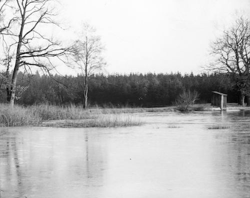 R223022 Funkenteich 
