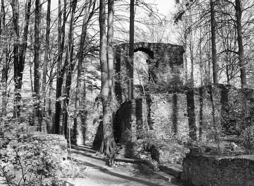 R28013 Abtei Ruine im Kloster Alt Zella 