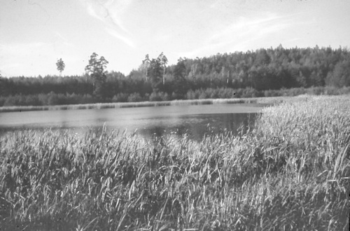 R7001 U. Altenteich 
