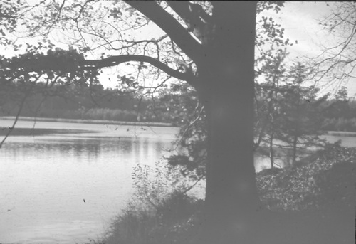 R7002 U.Altenteich 