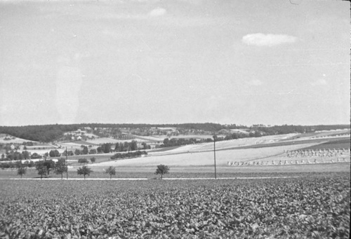 R7023 Gosebachtal 