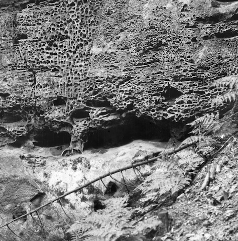 AR36059 zerstörte Oberfl. d. Sandsteins kl. Winterberg 