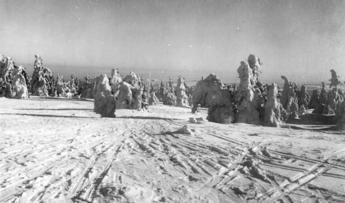R234006 Rauhreif auf dem Fichtelberg 