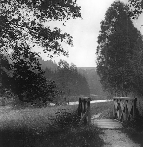 R32038 im Silbertal bei Wechselburg 