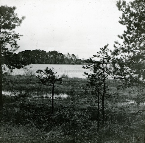 R33001 Deutsch Baselitz Am Großteich 