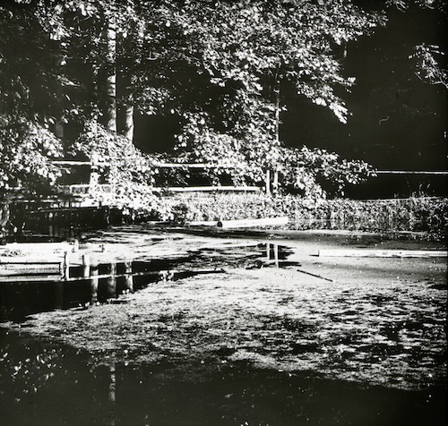 R34019 Oybin Teich im Hausgrunde 