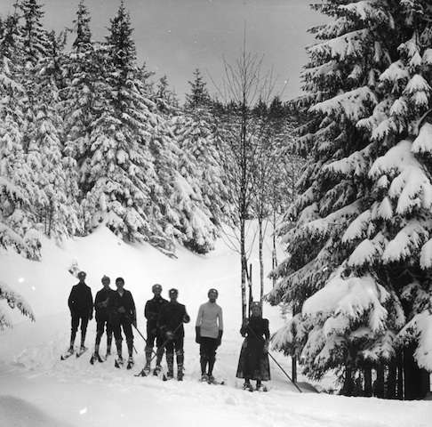R70012 Geising Gebirgswald im Winter 